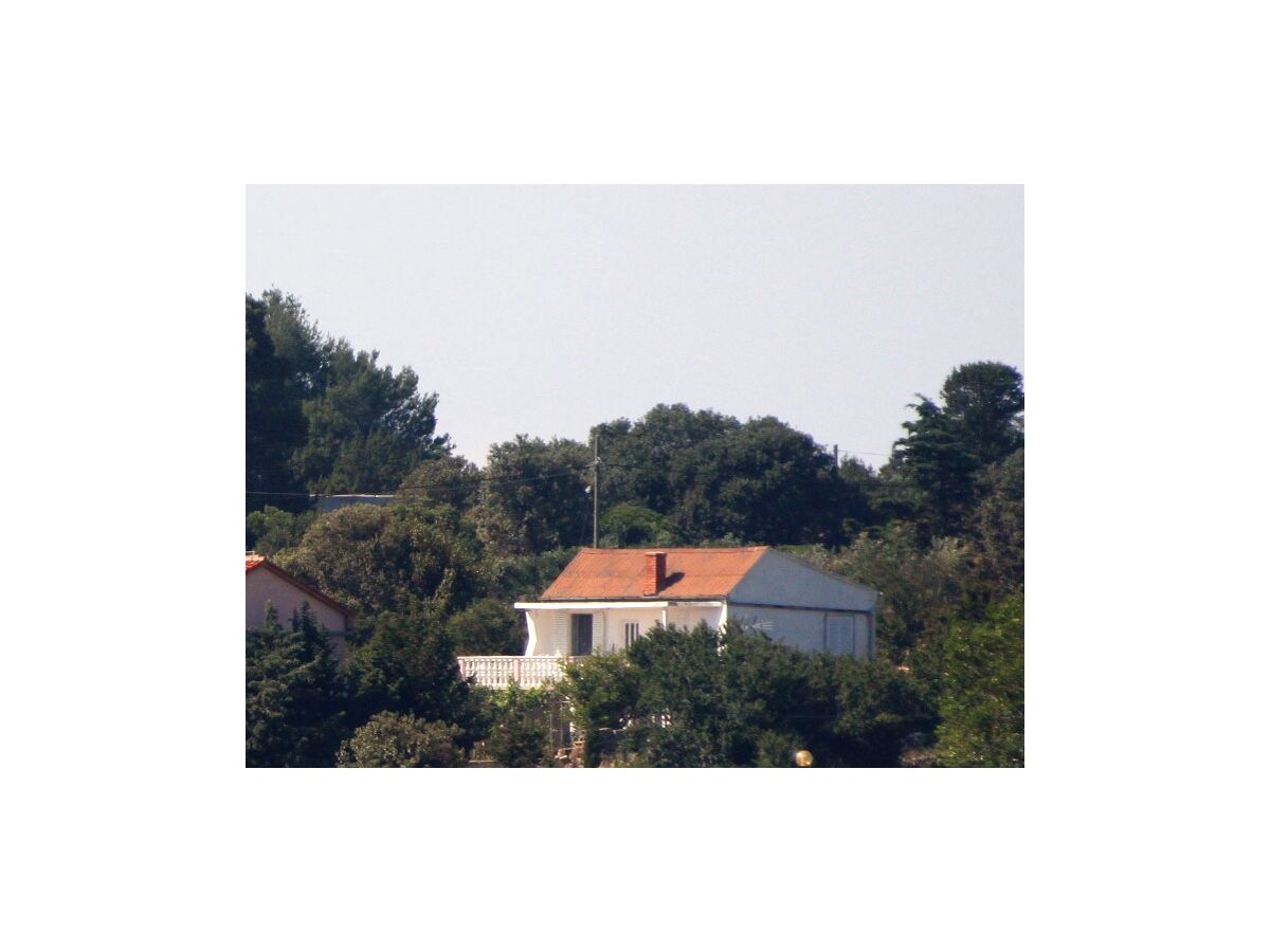 Apartment Apartments by the sea Verunić, Dugi otok - 8104 - Apartments by the sea Verunić, Dugi otok - 8104 - Outdoor photo 2