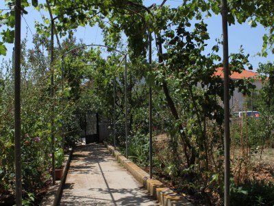 Apartment Apartments by the sea Verunić, Dugi otok - 8104 - Apartments by the sea Verunić, Dugi otok - 8104 - Outdoor photo 6