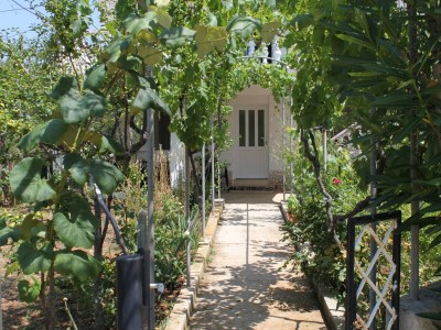 Apartment Apartments by the sea Verunić, Dugi otok - 8104 - Apartments by the sea Verunić, Dugi otok - 8104 - Outdoor photo 7