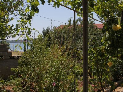 Apartment Apartments by the sea Verunić, Dugi otok - 8104 - Apartments by the sea Verunić, Dugi otok - 8104 - Outdoor photo 22