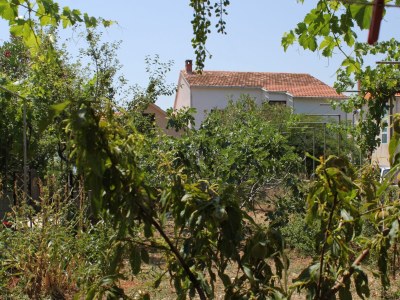 Apartment Apartments by the sea Verunić, Dugi otok - 8104 - Apartments by the sea Verunić, Dugi otok - 8104 - Outdoor photo 23