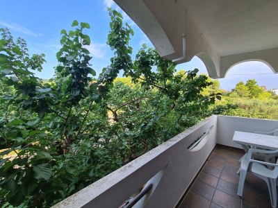 Apartment Apartments by the sea Dobropoljana, Pašman - 8198 in Neviđane - Apartment