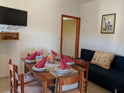 Apartment Apartments by the sea Dobropoljana, Pašman - 8198 - Outdoor photo 10