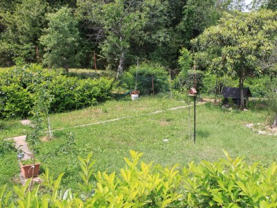 Apartment One bedroom apartment with terrace and sea view Oprič, Opatija A-7756-d - Outdoor photo 12