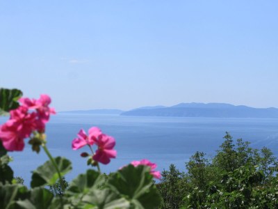 Apartment One bedroom apartment with terrace and sea view Opatija - Pobri, Opatija A-7813-a - Outdoor photo 25