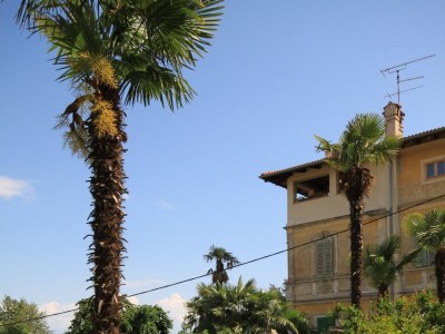 Apartment Studio flat with air-conditioning Lovran, Opatija AS-7856-a - Outdoor photo 6