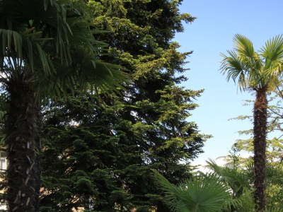 Apartment Studio flat with air-conditioning Lovran, Opatija AS-7856-a - Outdoor photo 9