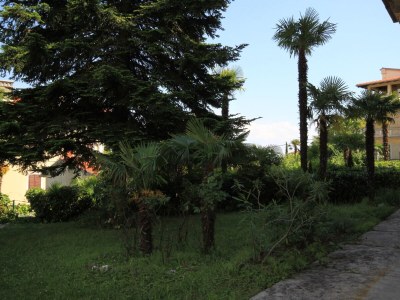 Apartment Studio flat with air-conditioning Lovran, Opatija AS-7856-a - Outdoor photo 10