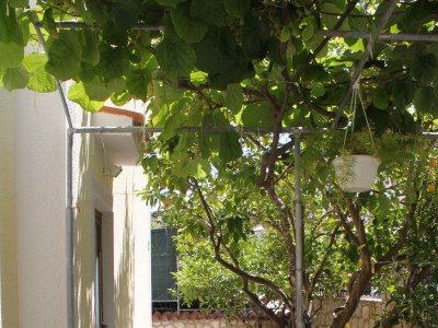 Apartment Two bedroom apartment with terrace and sea view Mali Lošinj, Lošinj A-7879-c - Outdoor photo 13