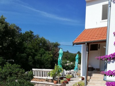 Apartment Two bedroom apartment near beach Cove Pokrivenik, Hvar A-8673-a - Outdoor photo 12