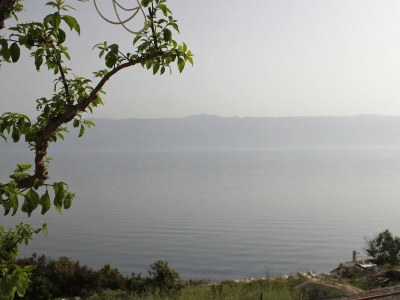 Apartment Two bedroom apartment near beach Cove Pokrivenik, Hvar A-8673-a - Outdoor photo 30