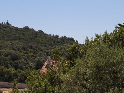 Apartment Two bedroom apartment with terrace and sea view Mali Lošinj, Lošinj A-7879-d - Outdoor photo 25