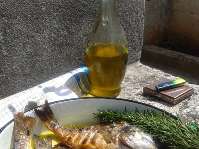 Apartment Studio flat near beach Cove Pokrivenik, Hvar AS-8673-b - Outdoor photo 14