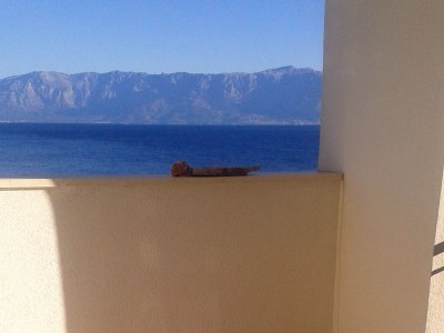 Apartment Studio flat near beach Cove Pokrivenik, Hvar AS-8673-b - Outdoor photo 26