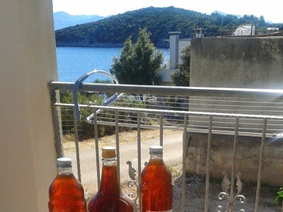 Apartment Studio flat near beach Cove Pokrivenik, Hvar AS-8673-b - Outdoor photo 27