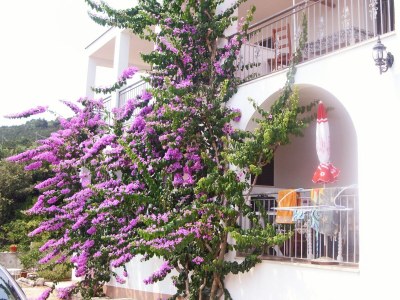 Apartment Studio flat near beach Cove Pokrivenik, Hvar AS-8673-b - Outdoor photo 28