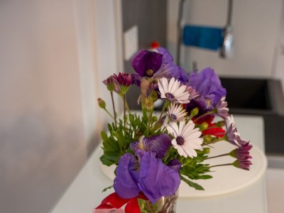 Apartment Studio flat with air-conditioning Poljana, Ugljan AS-8419-c - Outdoor photo 16