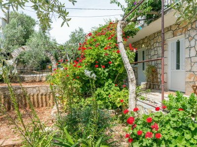 Apartment Two bedroom apartment with terrace and sea view Nečujam, Šolta A-8691-a - Outdoor photo 13