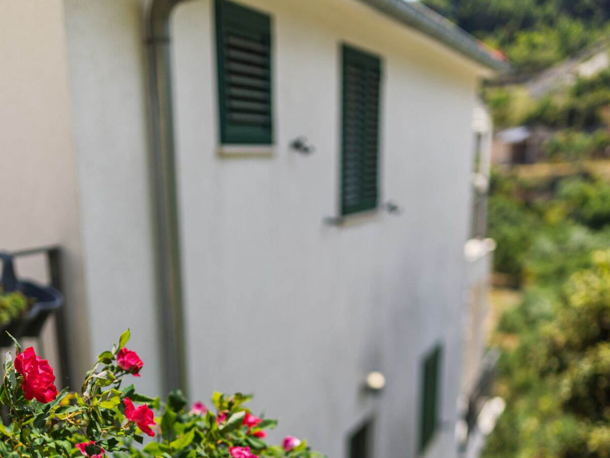 Apartment One bedroom apartment near beach Cove Torac, Hvar A-8653-b - Outdoor photo 4