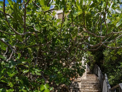 Apartment One bedroom apartment near beach Cove Torac, Hvar A-8653-b - Outdoor photo 8