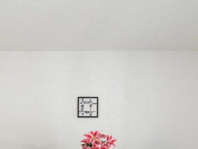 Apartment One bedroom apartment near beach Cove Torac, Hvar A-8653-b - Outdoor photo 16