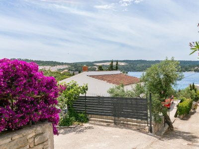 Apartment One bedroom apartment with terrace Nečujam, Šolta A-8691-b - Outdoor photo 6