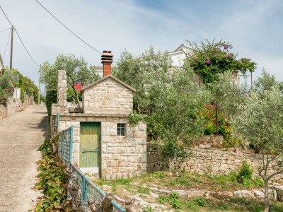 Apartment One bedroom apartment with terrace Nečujam, Šolta A-8691-b - Outdoor photo 8