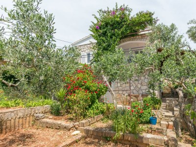 Apartment One bedroom apartment with terrace Nečujam, Šolta A-8691-b - Outdoor photo 10