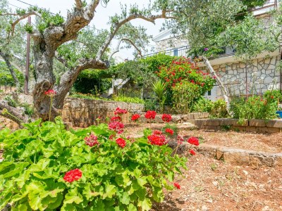 Apartment One bedroom apartment with terrace Nečujam, Šolta A-8691-b - Outdoor photo 14