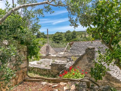Apartment One bedroom apartment with terrace Nečujam, Šolta A-8691-b - Outdoor photo 16