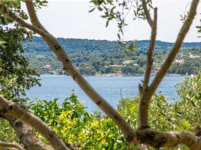 Apartment One bedroom apartment with terrace Nečujam, Šolta A-8691-b - Outdoor photo 31