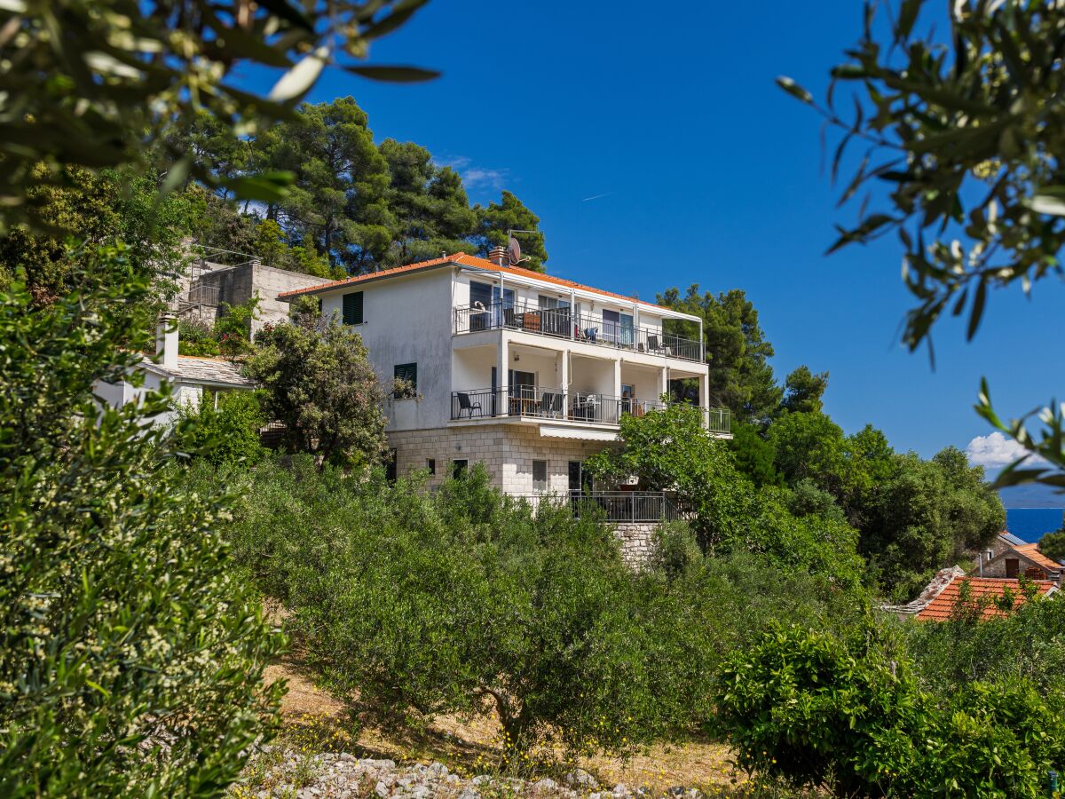 Apartment One bedroom apartment near beach Cove Torac, Hvar A-8653-c - Outdoor photo 2