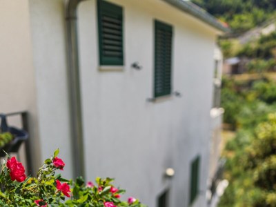 Apartment Studio flat near beach Cove Torac, Hvar AS-8653-b - Outdoor photo 4