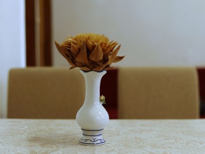 Apartment Two bedroom apartment with terrace Tkon, Pašman A-8302-a - Outdoor photo 27