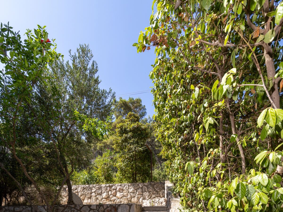 Apartment Two bedroom apartment with terrace and sea view Zavala, Hvar A-8710-b - Outdoor photo 5