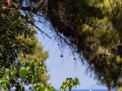 Apartment Two bedroom apartment with terrace and sea view Zavala, Hvar A-8710-b - Outdoor photo 36
