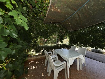 Apartment One bedroom apartment with terrace Tkon, Pašman A-8302-c - Outdoor photo 33