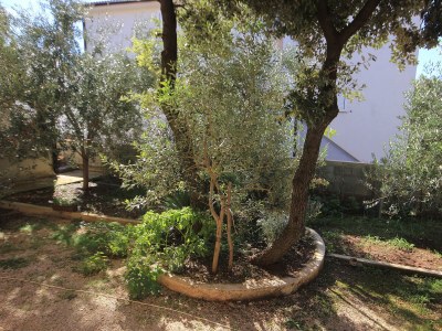 Apartment One bedroom apartment with terrace and sea view Mandre, Pag A-9354-c - Outdoor photo 5