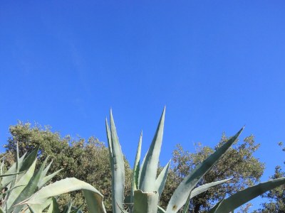 Apartment Three bedroom apartment near beach Pag A-9355-a - Outdoor photo 9