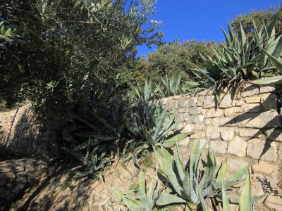 Apartment Three bedroom apartment near beach Pag A-9355-b - Outdoor photo 7