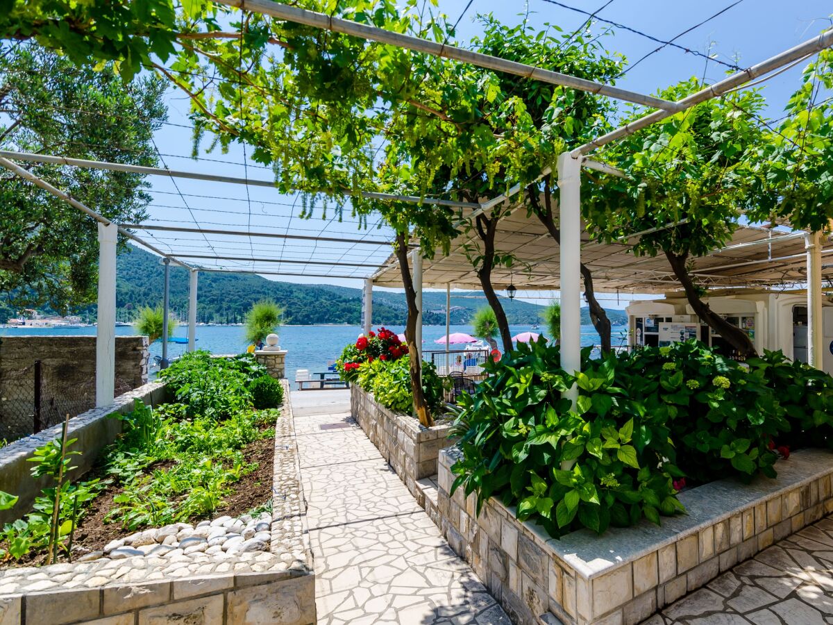 Holiday room near beach Slano, Dubrovnik S-8737-a - Outdoor photo 4