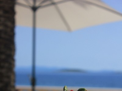 Apartment One bedroom apartment near beach Orebić, Pelješac A-9452-a - Outdoor photo 11