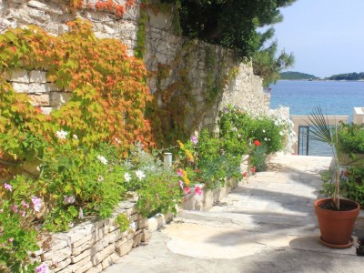 Apartment Two bedroom apartment near beach Orebić, Pelješac A-9452-b - Outdoor photo 9