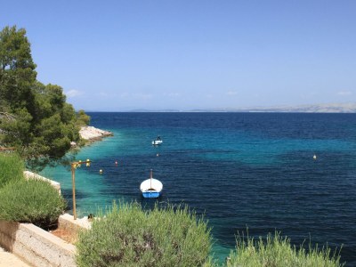 Apartment Two bedroom apartment near beach Cove Zastupac, Hvar A-8761-a - Outdoor photo 41