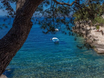 Apartment One bedroom apartment near beach Cove Zastupac, Hvar A-8761-c - Outdoor photo 32