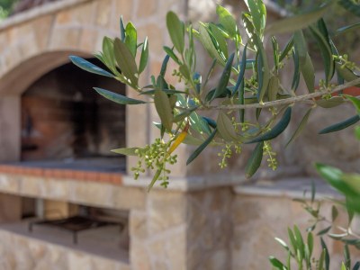 Apartment Two bedroom apartment near beach Cove Zastupac, Hvar A-8761-d - Outdoor photo 9