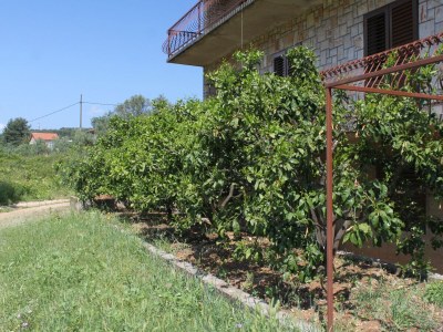 Apartment Studio flat with terrace Jelsa, Hvar AS-8789-a - Outdoor photo 6