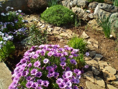 Apartment One bedroom apartment with terrace and sea view Rukavac, Vis A-8839-a - Outdoor photo 10
