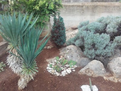 Apartment One bedroom apartment with terrace and sea view Rukavac, Vis A-8839-a - Outdoor photo 11