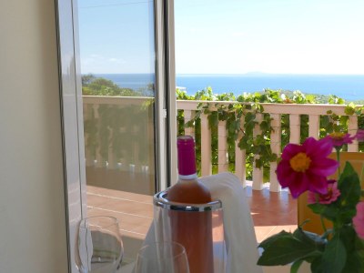 Apartment One bedroom apartment with terrace and sea view Rukavac, Vis A-8839-a - Outdoor photo 19